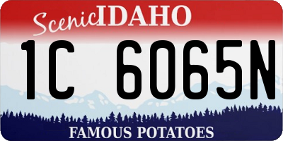 ID license plate 1C6065N
