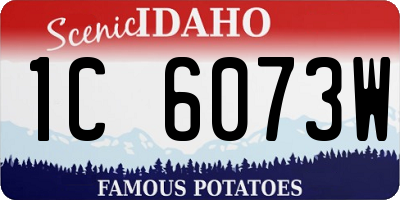 ID license plate 1C6073W