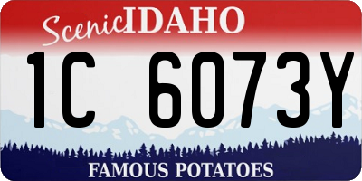 ID license plate 1C6073Y