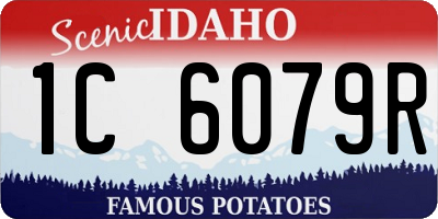 ID license plate 1C6079R