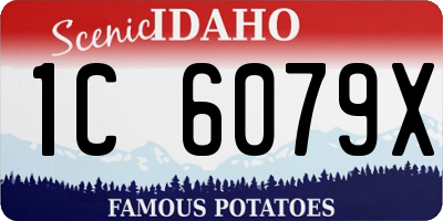ID license plate 1C6079X
