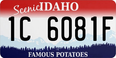 ID license plate 1C6081F