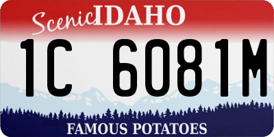 ID license plate 1C6081M