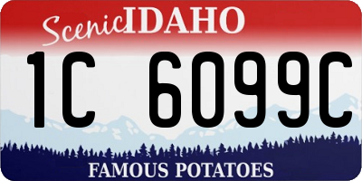 ID license plate 1C6099C