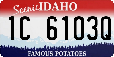 ID license plate 1C6103Q