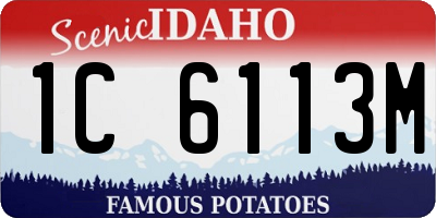 ID license plate 1C6113M