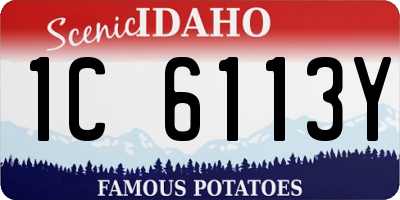 ID license plate 1C6113Y