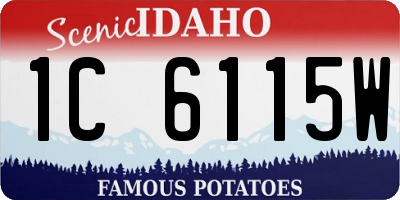 ID license plate 1C6115W