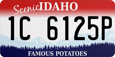 ID license plate 1C6125P