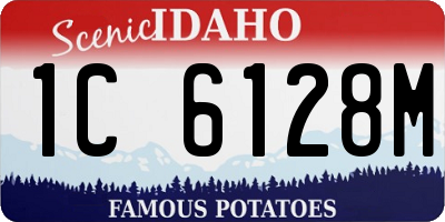 ID license plate 1C6128M