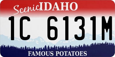 ID license plate 1C6131M