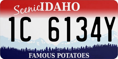 ID license plate 1C6134Y