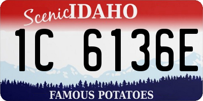 ID license plate 1C6136E