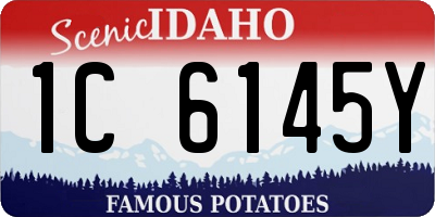 ID license plate 1C6145Y