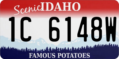 ID license plate 1C6148W