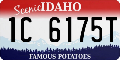 ID license plate 1C6175T