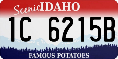 ID license plate 1C6215B