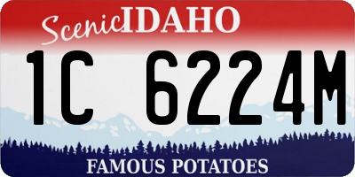 ID license plate 1C6224M