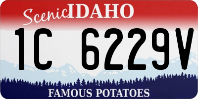 ID license plate 1C6229V