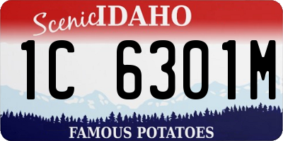 ID license plate 1C6301M