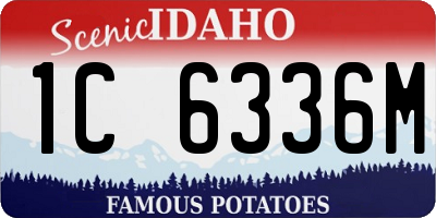 ID license plate 1C6336M