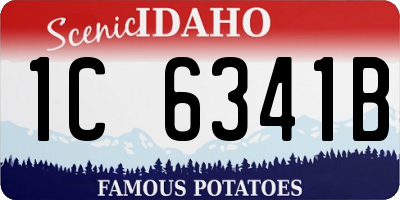 ID license plate 1C6341B