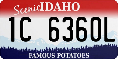 ID license plate 1C6360L