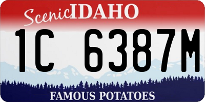 ID license plate 1C6387M