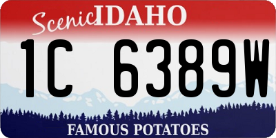 ID license plate 1C6389W