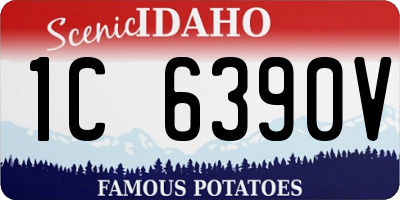 ID license plate 1C6390V
