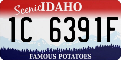 ID license plate 1C6391F