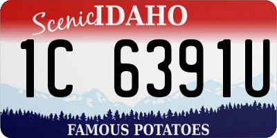 ID license plate 1C6391U