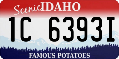 ID license plate 1C6393I