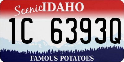 ID license plate 1C6393Q