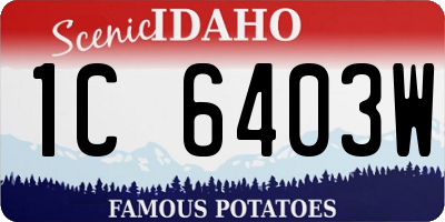 ID license plate 1C6403W