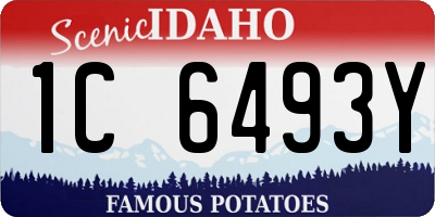 ID license plate 1C6493Y