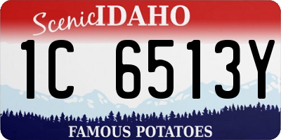 ID license plate 1C6513Y