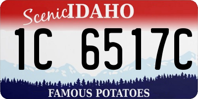 ID license plate 1C6517C