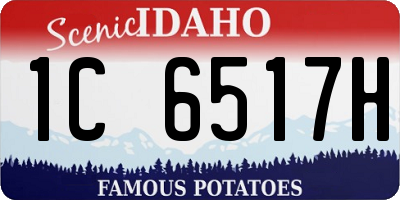 ID license plate 1C6517H