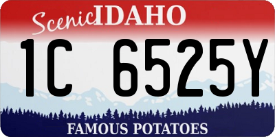 ID license plate 1C6525Y