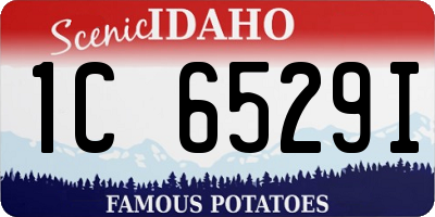 ID license plate 1C6529I