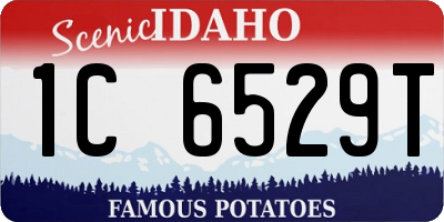 ID license plate 1C6529T
