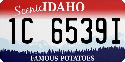 ID license plate 1C6539I