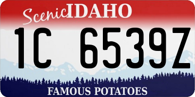ID license plate 1C6539Z