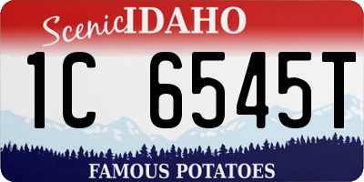 ID license plate 1C6545T