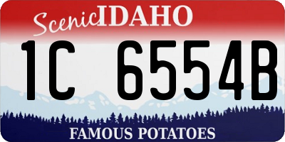 ID license plate 1C6554B