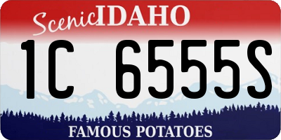 ID license plate 1C6555S
