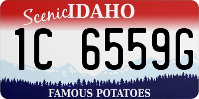 ID license plate 1C6559G