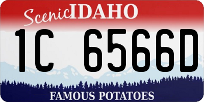 ID license plate 1C6566D