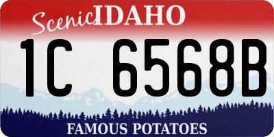 ID license plate 1C6568B